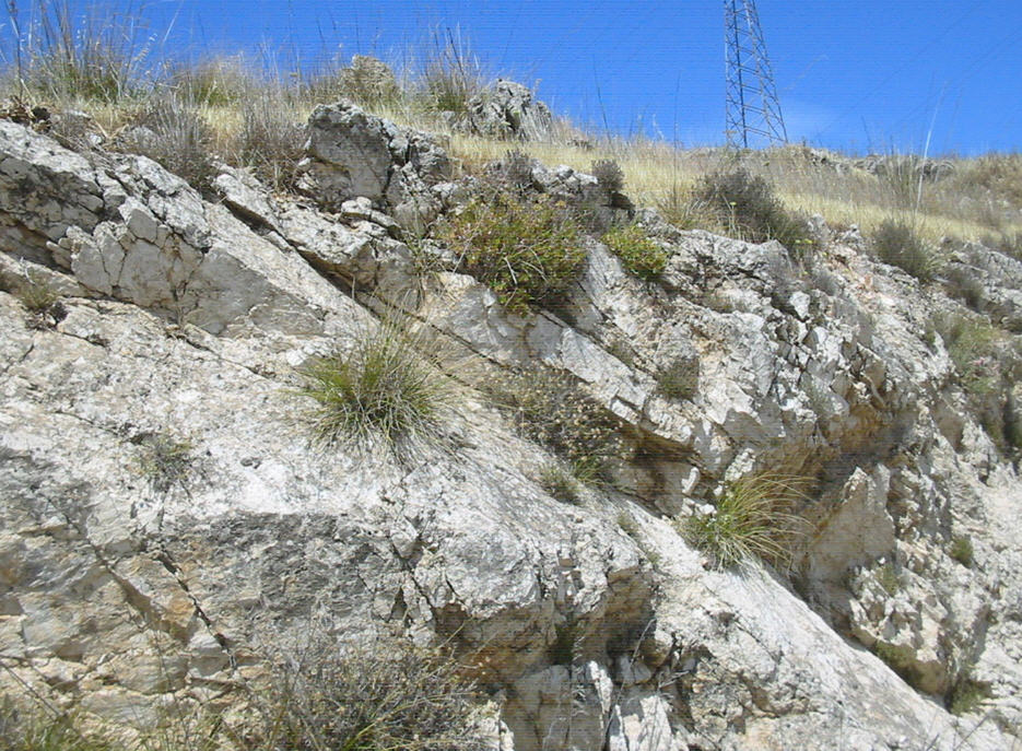 Faglia